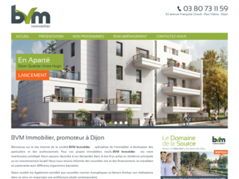 bvm-immobilier.com website preview