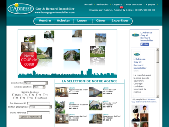 bourgogne-immobilier.com website preview