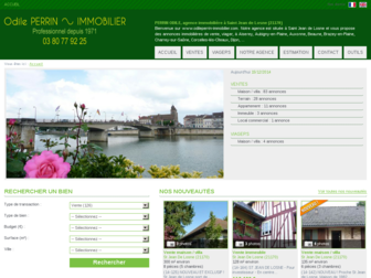 odileperrin-immobilier.com website preview