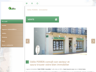 odile-perrin-immobilier.fr website preview
