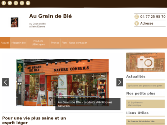 magasin-dietetique-st-etienne.fr website preview