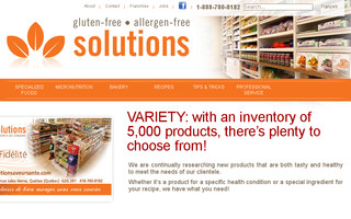 solutionsaveursante.com website preview