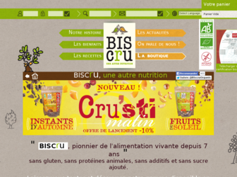 biscru.com website preview