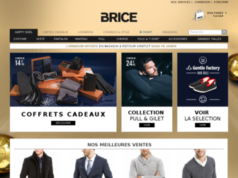 brice.fr website preview