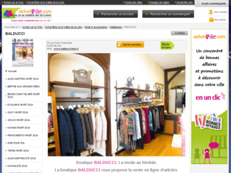 balducci-blois.fr website preview