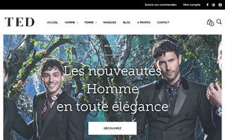 ted-metz.com website preview