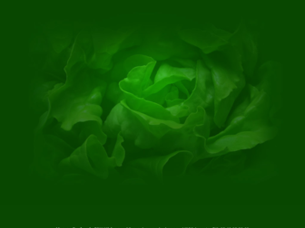 maryse-duchemin-dieteticienne.com website preview