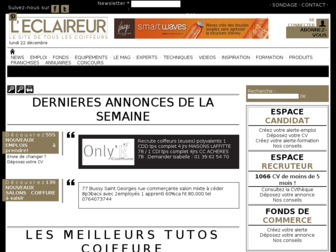 leclaireurhebdo.com website preview