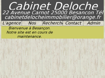 delocheimmobilier.com website preview