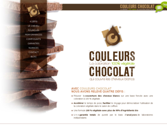 couleurs-chocolat.fr website preview