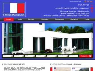 france-immobilier-vosges.com website preview