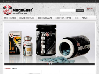 mega-gear.net website preview
