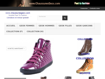 chaussuresgeox.com website preview