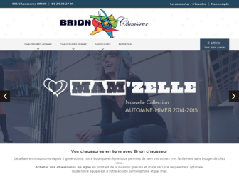 brionchausseur.fr website preview