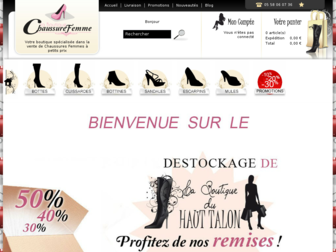 laboutiquechaussurefemme.fr website preview