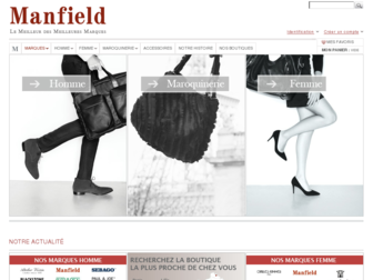 manfield.fr website preview