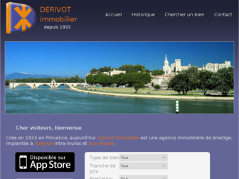 derivotimmobilier.fr website preview