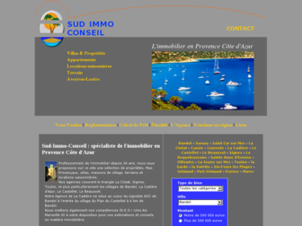 sud-immo-conseil.com website preview