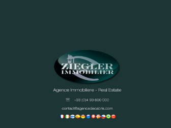 ziegler-immobilier.com website preview