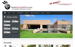 terreimmobilier.com website preview