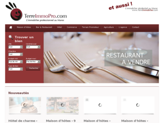 terreimmopro.com website preview