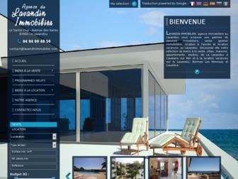 lavandinimmobilier.com website preview