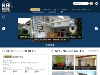 bleumarineimmobilier.fr website preview