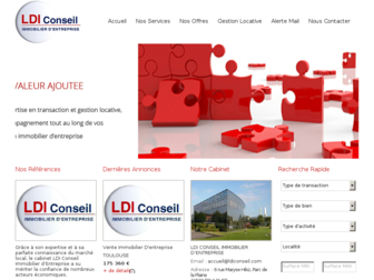 ldiconseil.com website preview