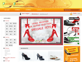pointurextreme.com website preview