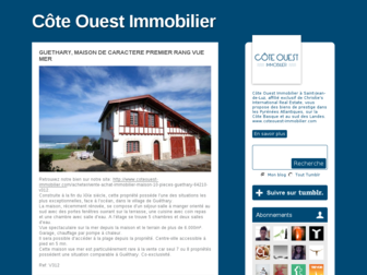 coteouestimmobilier.tumblr.com website preview