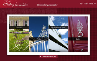feelingimmobilier.com website preview
