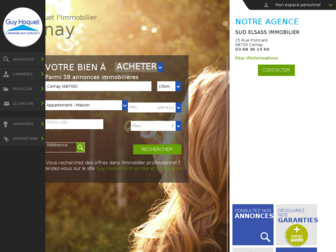 guyhoquet-immobilier-cernay.com website preview