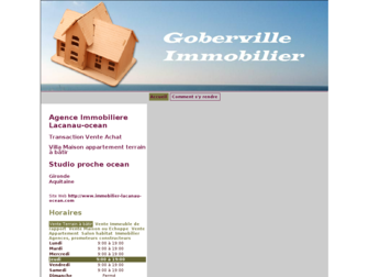 immobilier-lacanau-ocean.com website preview