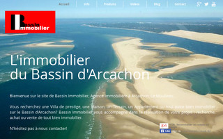 bassinimmobilier.com website preview