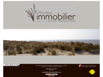 moulleauimmobilier.com website preview