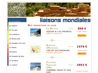 liaisonsmondiales.fr website preview