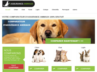 i-assurance-animaux.net website preview