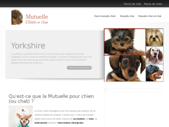 mutuellechien.eu website preview