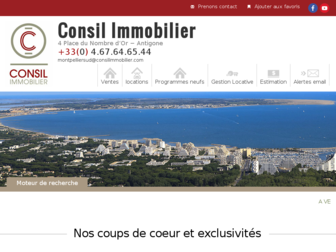 consilimmobilier.com website preview