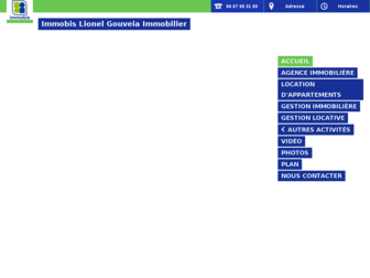 immobis-agence-immobiliere.fr website preview