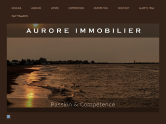 auroreimmobilier.org website preview