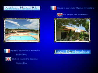lagonbleuimmobilier.com website preview