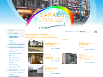caraes-immobilier-entreprise.com website preview