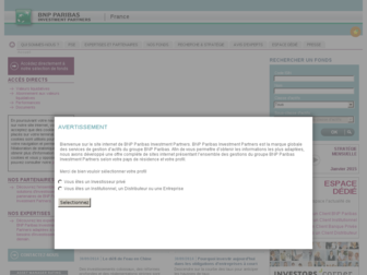 bnpparibas-ip.fr website preview