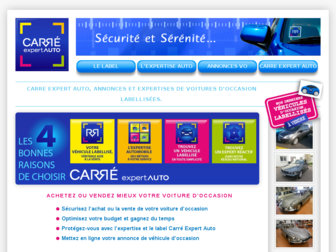 carre-expert-auto.org website preview