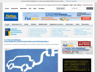 flotauto.com website preview