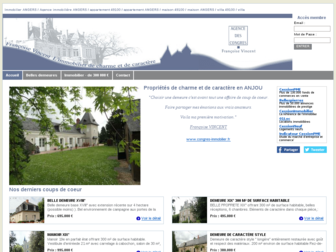 francoise-vincent-immobilier.com website preview