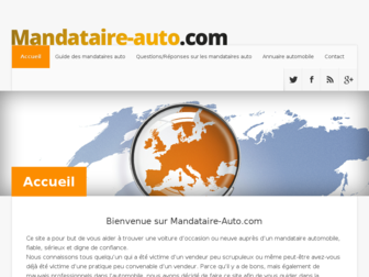 mandataire-auto.com website preview