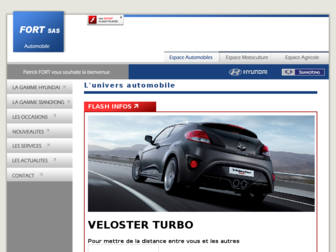 auto.fort-sas.com website preview