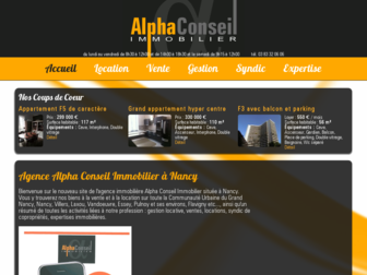 alphaconseilimmobilier.com website preview